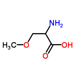 DL-O-甲基丝氨酸