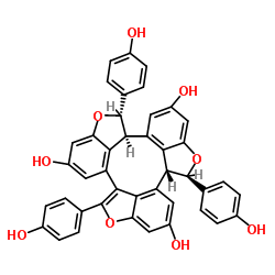 (&plusmn;)-caraphenol A