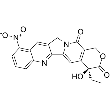 鲁比特康
