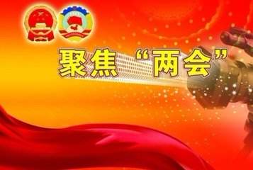 人大代表刘德辉：大力发展化工新材料满足高端制造业需求