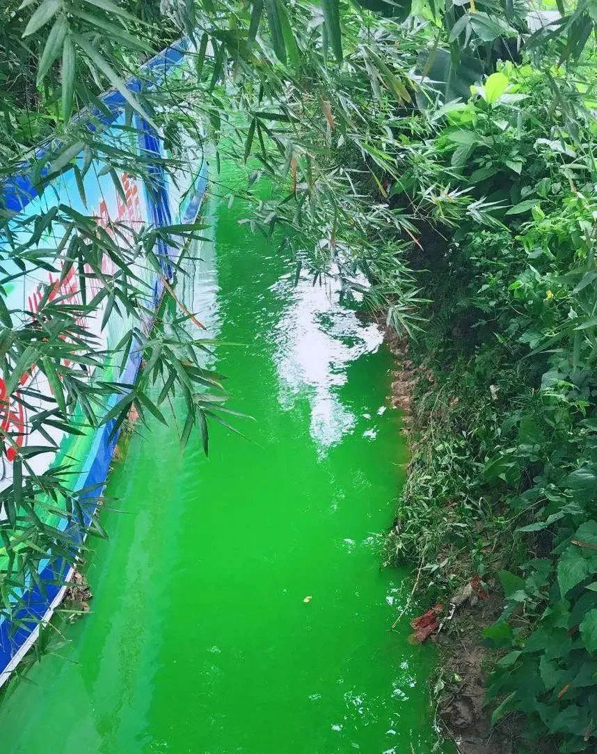 必须查！必须治！严惩！曝光私排、偷排！