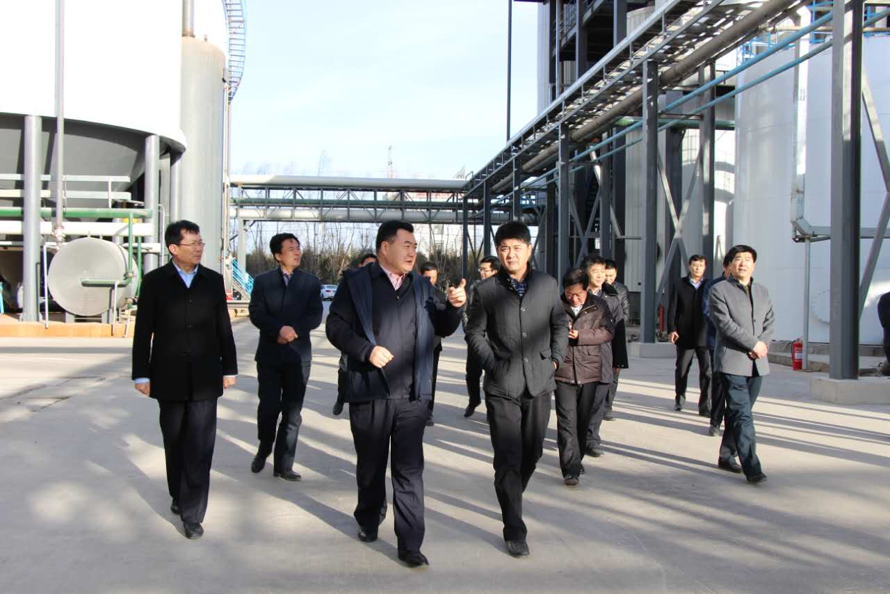 【资讯】江苏扬州市市领导对粉末涂料、氧化锌产业进行了行业调研