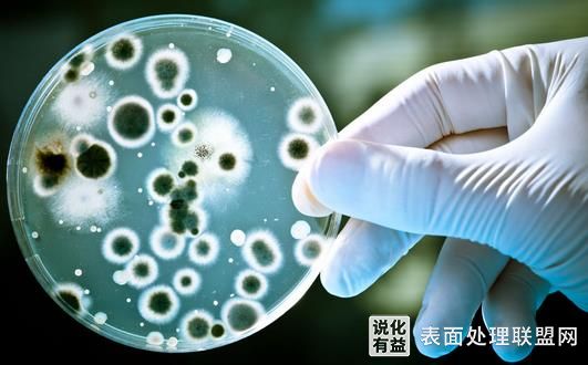 做好这几步，即可有效预防电镀塑料件生霉问题