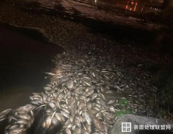 【新闻】中国台湾美资化工厂盐酸泄露 毒死上万只鱼