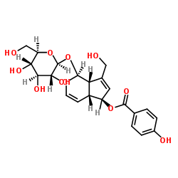 6-O-对羟基苯甲酰基桃叶珊瑚苷