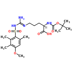 NΑ叔丁氧羰酰基NΩ(4-甲氧基-2,3,6三甲基苯磺酰)精氨酸