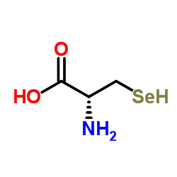 硒代-L-半胱氨酸
