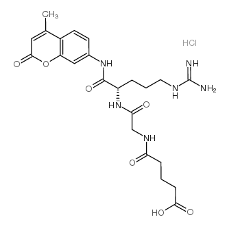 戊二酰基-甘氨酸-精氨酸-AMC盐酸盐