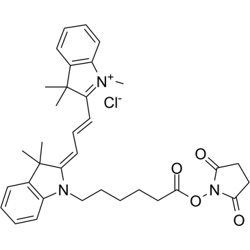 Cy3 NHS ester