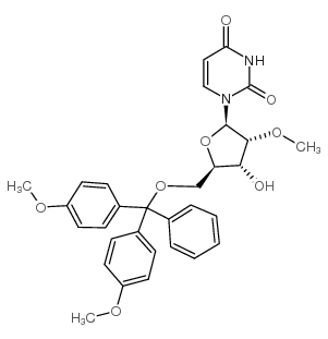 DMT保护性-2'-甲氧基尿苷