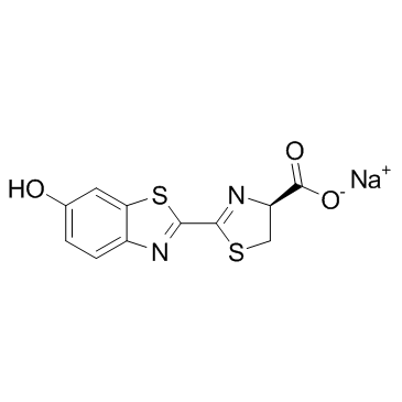 D-虫荧光素钠盐