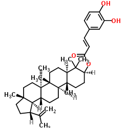 咖啡酸羽扇豆醇