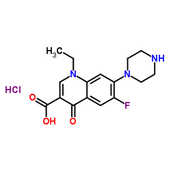 盐酸诺氟沙星