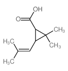 菊甲酸