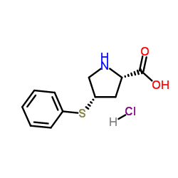 顺式-4-苯硫基-脯氨酸