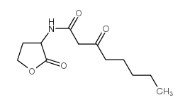N-(3-氧代辛酰基)-DL-高丝氨酸内酯(-20°C)
