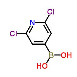 2,6-二氯吡啶-4-硼酸