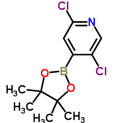 2,5-二氯吡啶-4-硼酸频哪酯