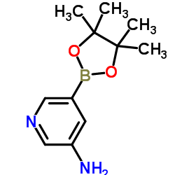 5-氨基吡啶-3-硼酸频哪醇酯