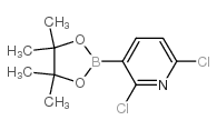 2,6-二氯吡啶-3-硼酸频哪醇酯