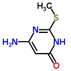 基巯基-4-氨基-6-羟基嘧啶