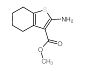 2-氨基-4,5,6,7-四氢苯并噻酚-3-羧酸乙酯