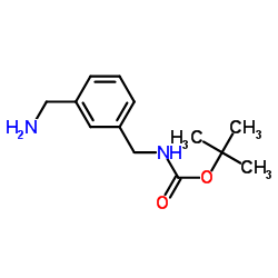 N-[3-(氨基甲基)苄基]氨基甲酸叔丁酯