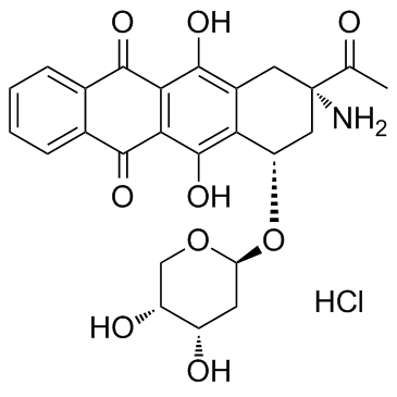 盐酸氨柔比星