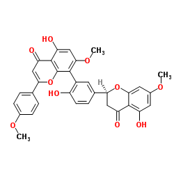 罗汉松黄烷酮