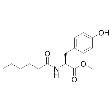 MHP