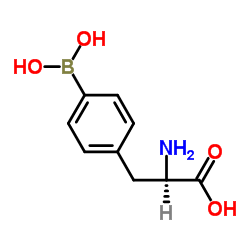 4-硼-D-苯丙氨酸 B10