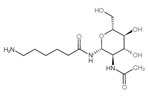 2-乙酰胺-N-(E-氨基己酰)-2-脱氧-B-D-吡喃葡糖胺