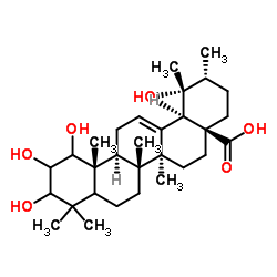 1,2,3,19-四羟基-12-乌苏烯-28-酸