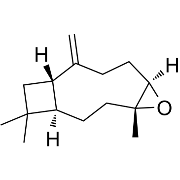 石竹素