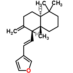二羟丙茶碱E