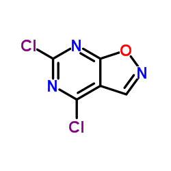 4,6-二氯-异恶唑并[5,4-d]嘧啶
