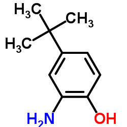 2-氨基-4-叔丁基酚