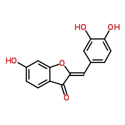 硫黄菊素