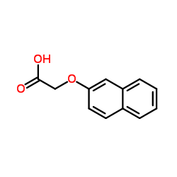 β-萘氧乙酸