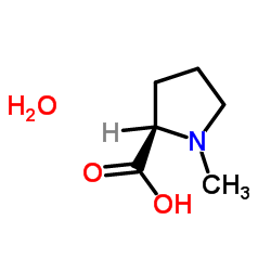 N-甲基-D-脯氨酸一水合物