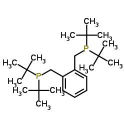 1,2-双(二叔丁基膦甲基)苯