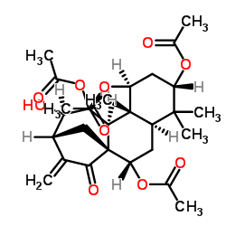 苍山香茶菜素