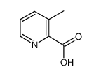 3-甲基吡啶-2-羧酸盐酸盐