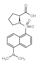 丹磺酰-L-脯氨酸哌啶盐