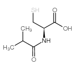 N-异丁基,半胱氯酸