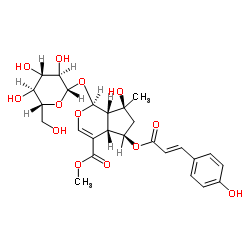 6-O-反式对香豆酰山栀苷甲酯