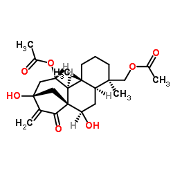 叶含乙酰瘿花香茶菜素 B