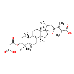 3ALPHA-羧基乙酰氧基-24-亚甲基-23-氧代羊毛甾-8-烯-26-酸