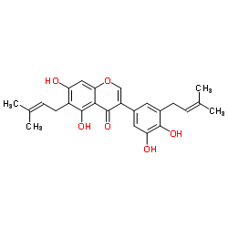 iso-Angustone A