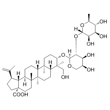 白头翁皂苷 A
